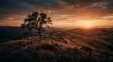 Golden California hills at sunset