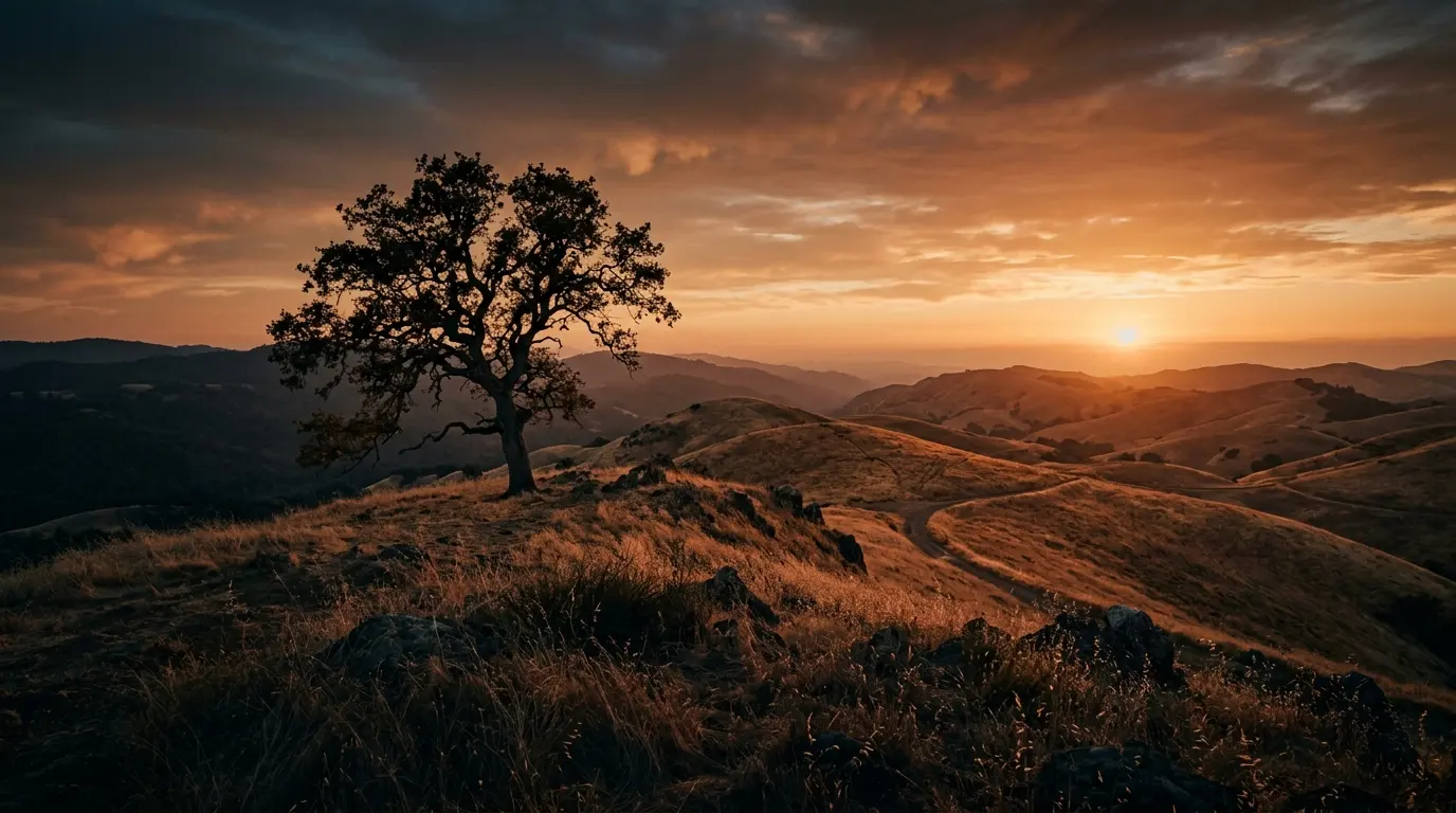 Golden California hills at sunset