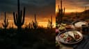 Sonoran desert at golden hour